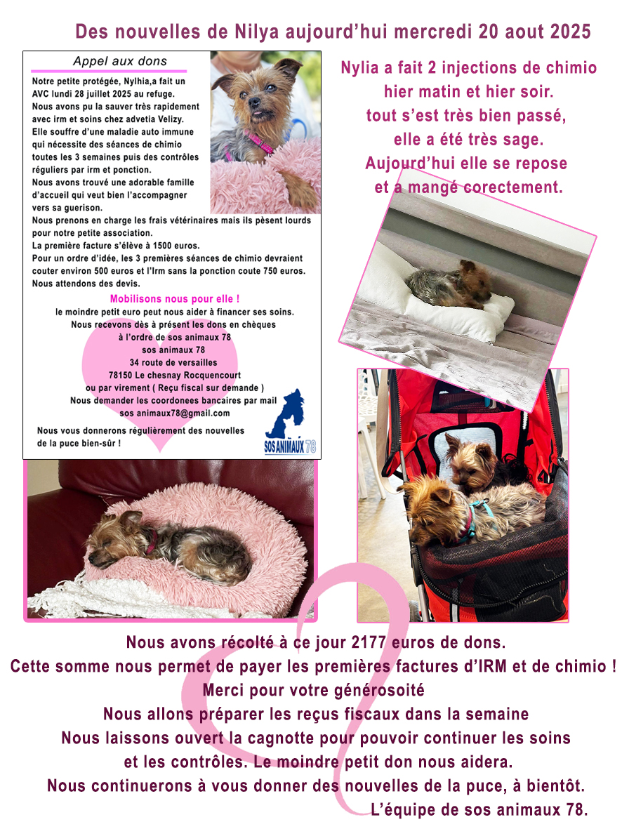 nouvelles de Nylia après 1ere chimio 19 aout25